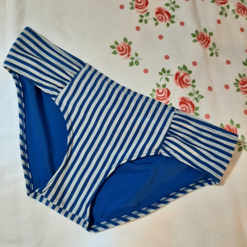 Blue and Silver Striped Bikini Bottom